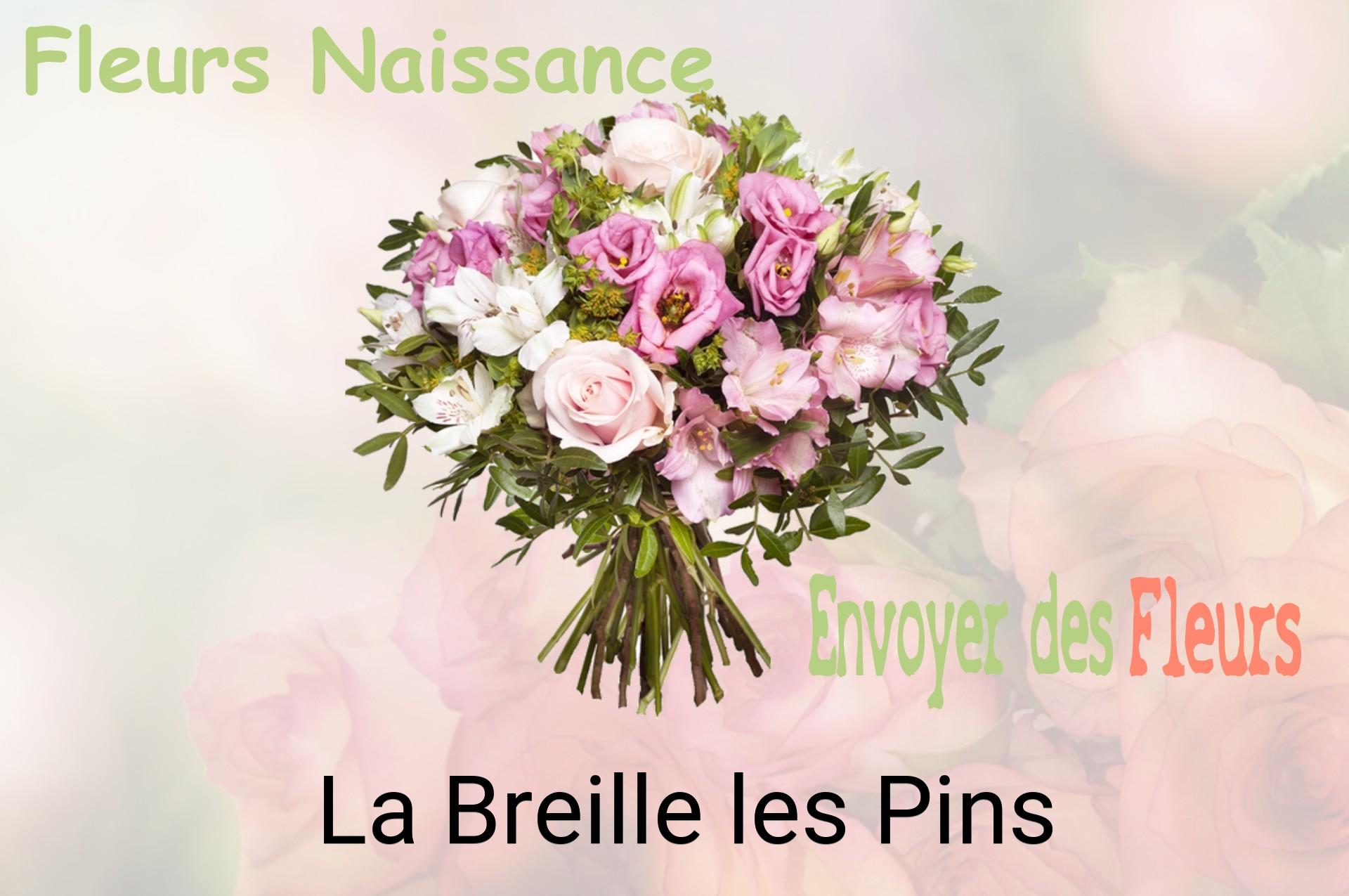 Bouquet de fleurs de naissance livré à La Breille-les-Pins